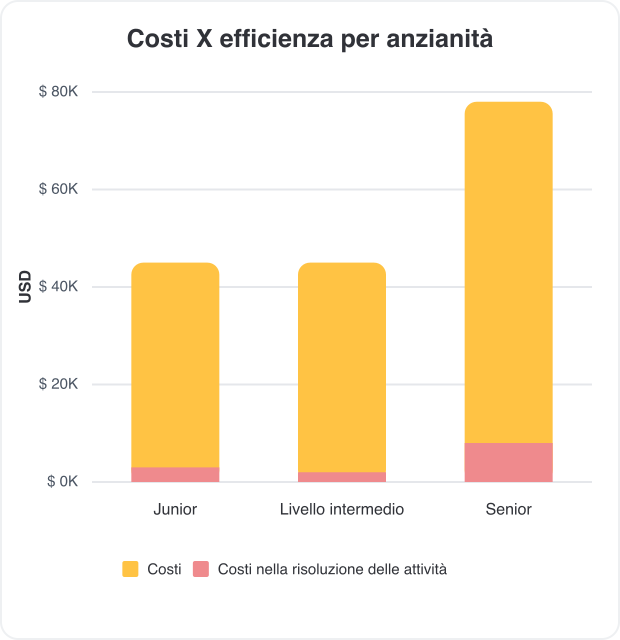 costi dei progetti per seniority
